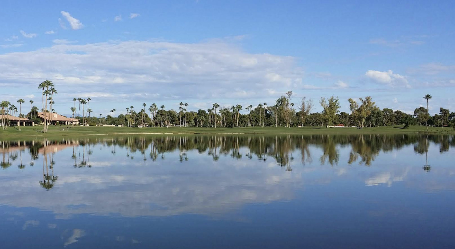 Palm trees and homes reflected in a Scottsdale lake